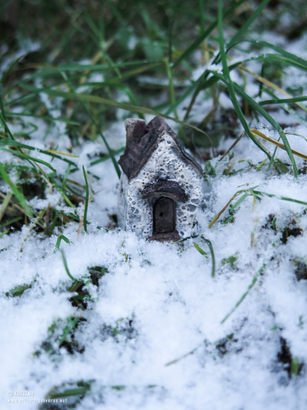 Little dwelling among the grasses