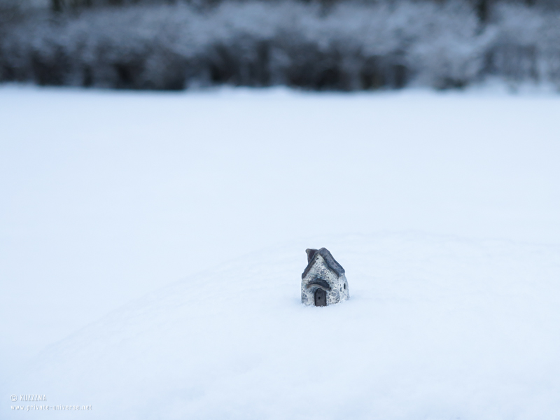 Little dwelling on a rock